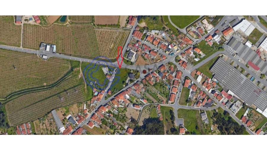 Terreno para Venda em Folgosa Foto 23