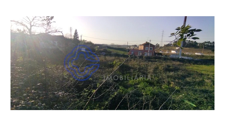 Terreno para Venda em Folgosa Foto 13