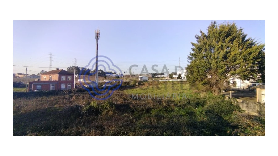 Terreno para Venda em Folgosa Foto 22