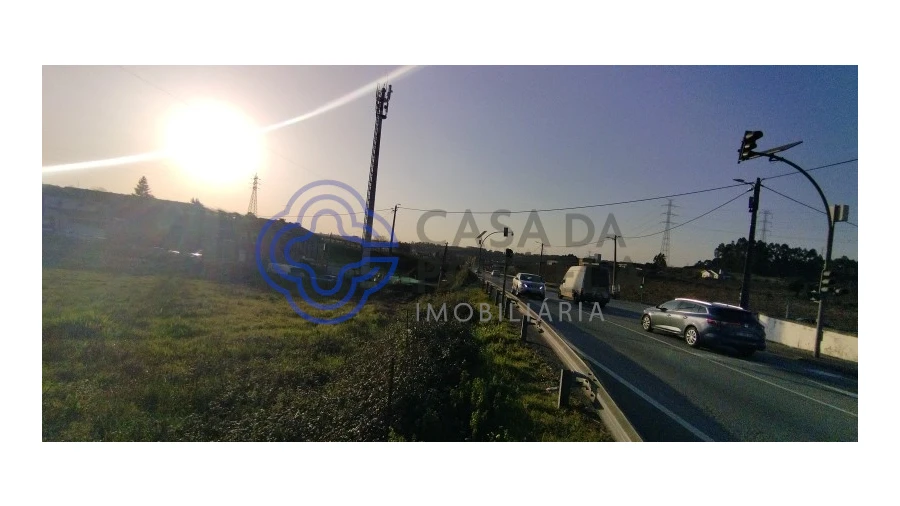 Terreno para Venda em Folgosa Foto 4