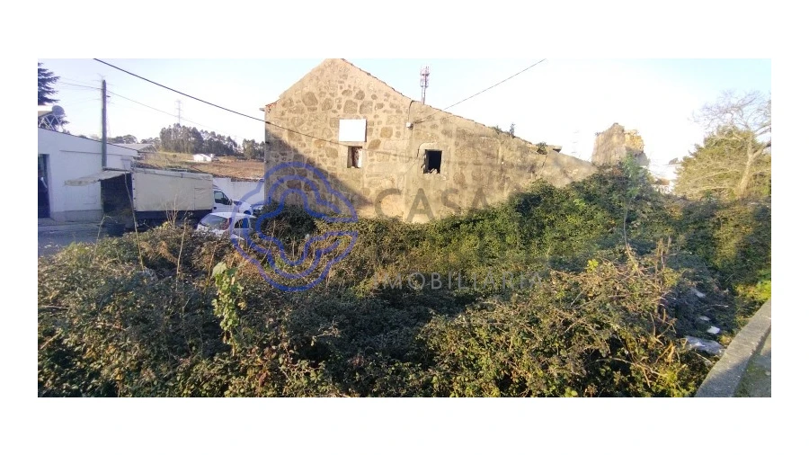 Terreno para Venda em Folgosa Foto 9