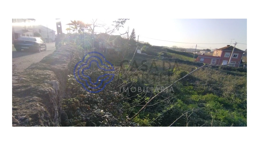 Terreno para Venda em Folgosa Foto 14