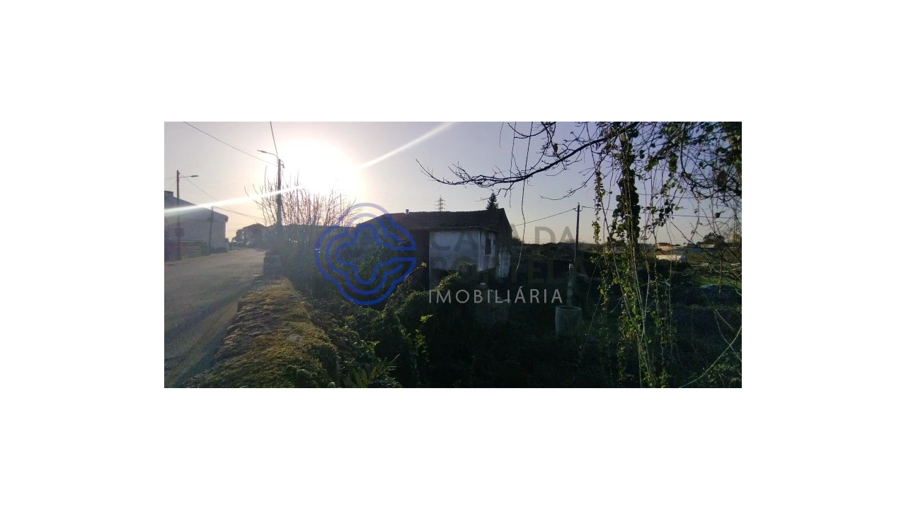 Terreno para Venda em Folgosa Foto 11