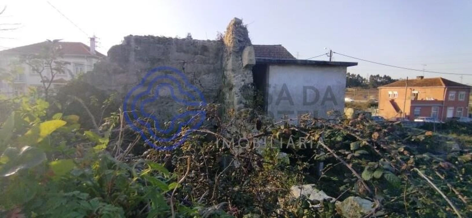 Terreno para Venda em Folgosa Foto 17