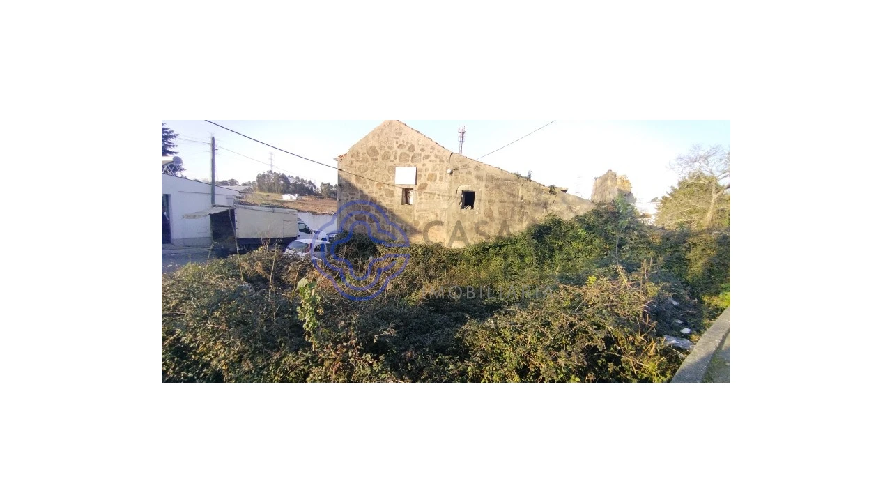 Terreno para Venda em Folgosa Foto 9