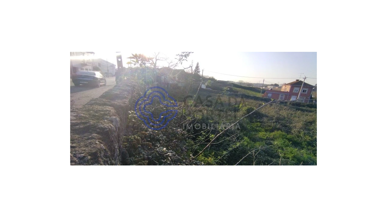 Terreno para Venda em Folgosa Foto 14