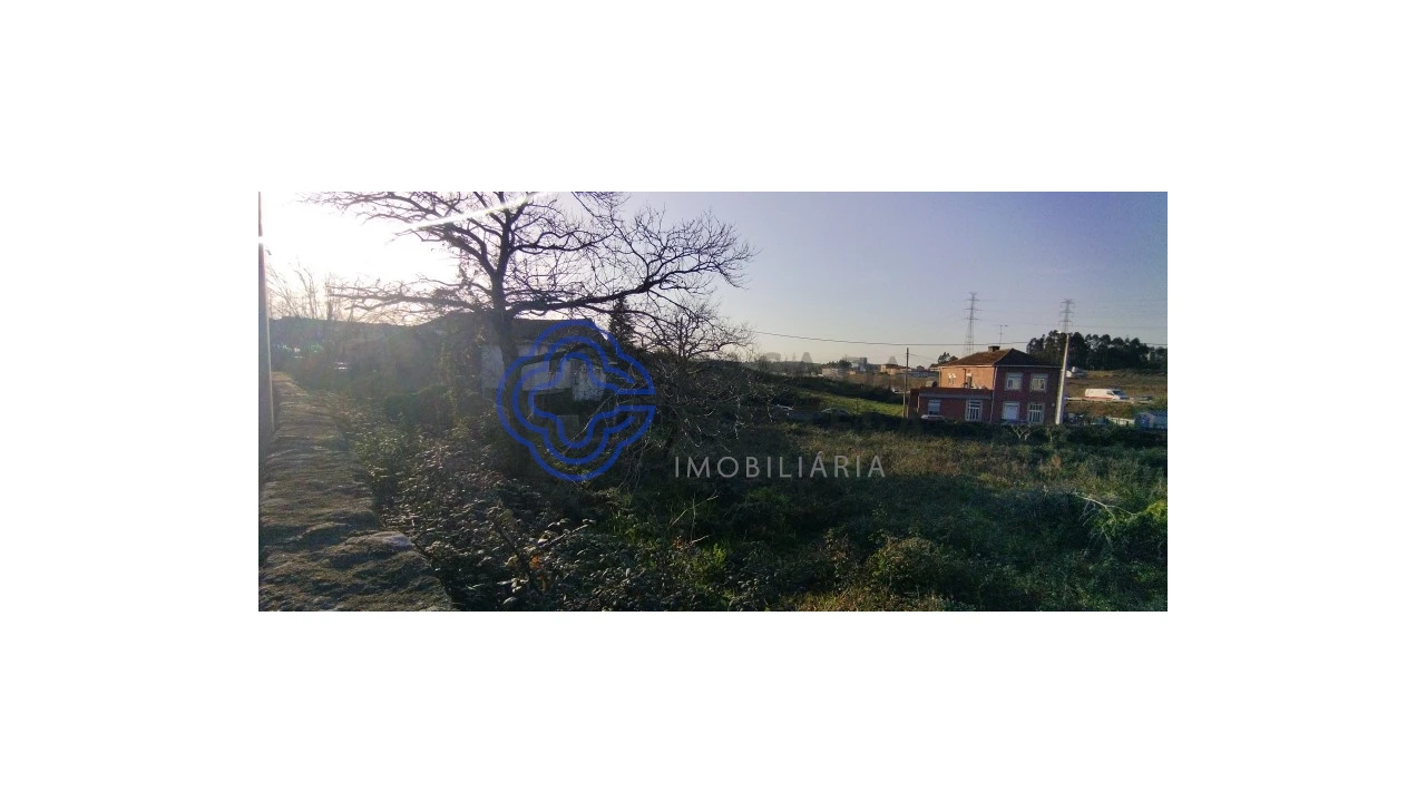 Terreno para Venda em Folgosa Foto 20