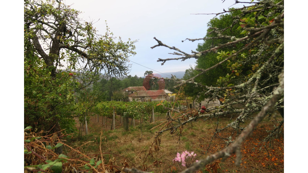 Moradia T6 para Venda em Barbeita Foto 6