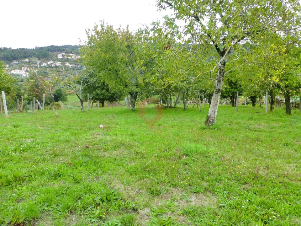 Moradia T5 para Venda em Riba de Mouro Foto 17