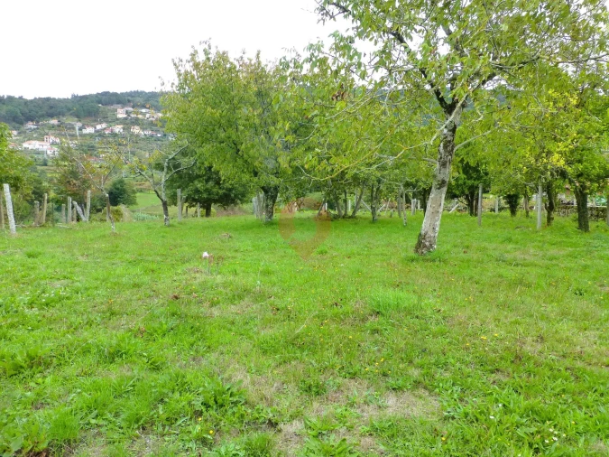 Moradia T5 para Venda em Riba de Mouro Foto 17