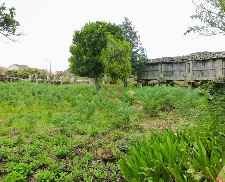 Moradia T5 para Venda em Riba de Mouro Foto 15