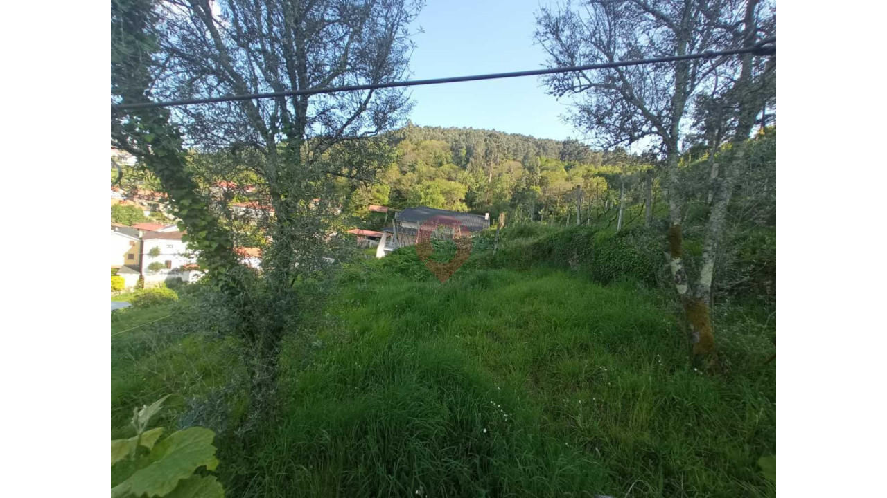 Moradia T3 para Venda em Abedim Foto 8