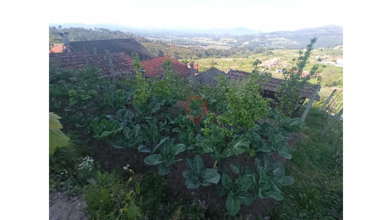 Moradia T3 para Venda em Abedim Foto 7