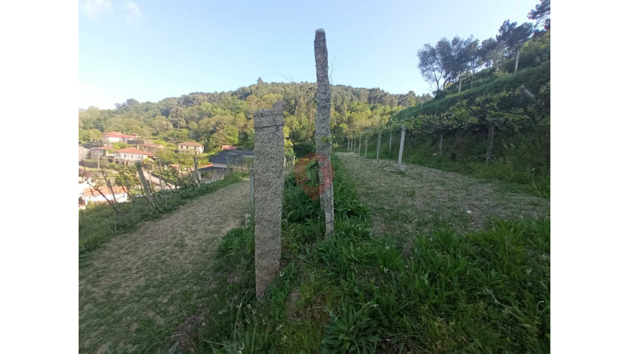 Moradia T3 para Venda em Abedim Foto 6