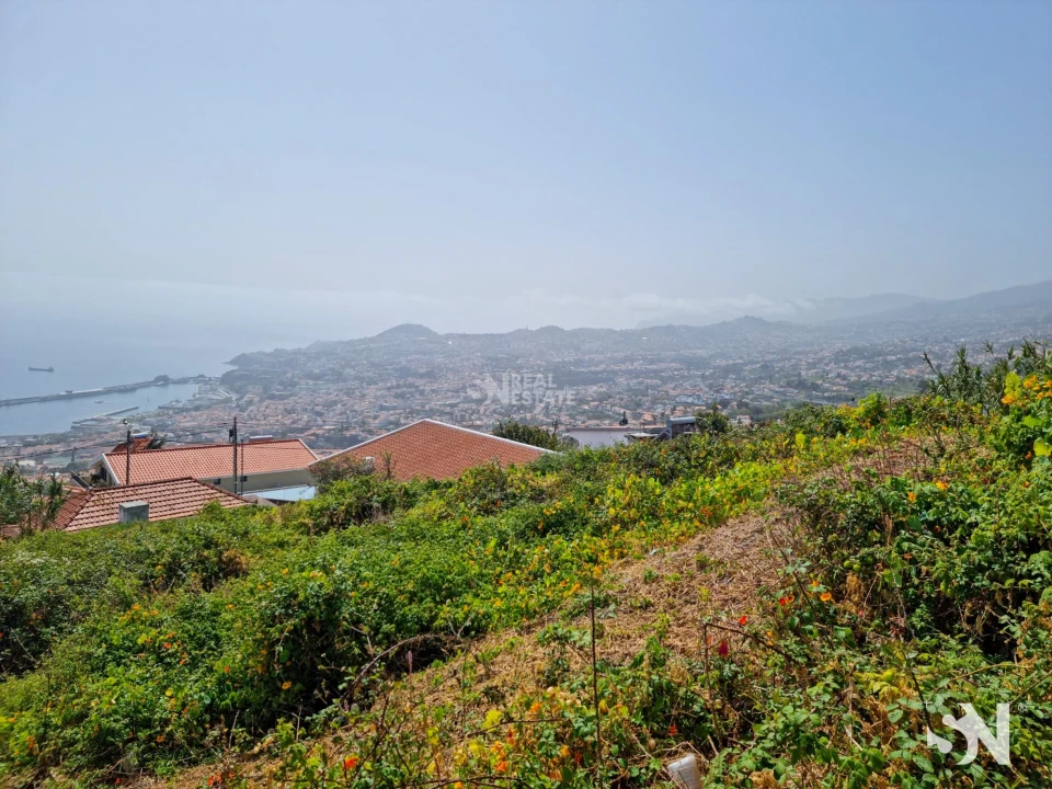 Terreno para Venda em Funchal (Santa Maria Maior) Foto 18