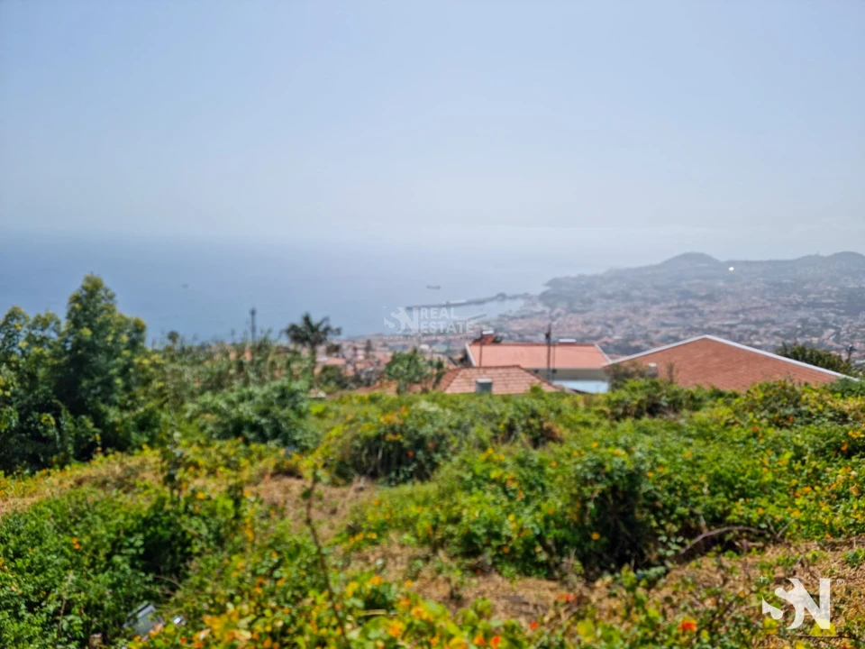 Terreno para Venda em Funchal (Santa Maria Maior) Foto 19