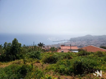 Terreno para Venda em Funchal (Santa Maria Maior)