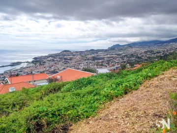 Terreno para Venda em Funchal (Santa Maria Maior)