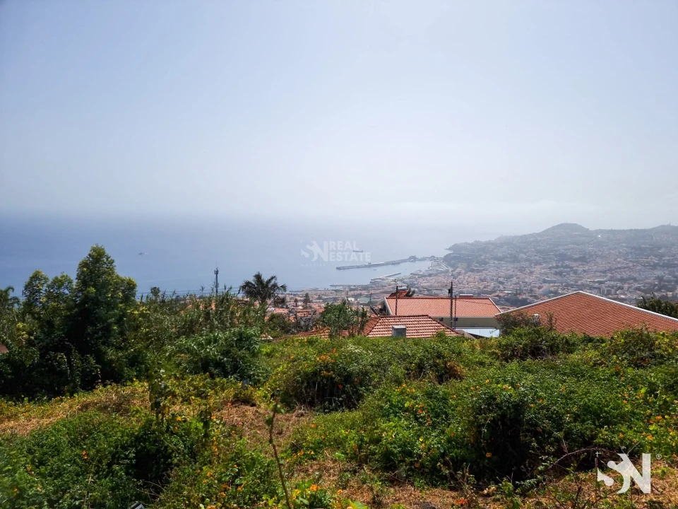 Terreno para Venda em Funchal (Santa Maria Maior) Foto 17