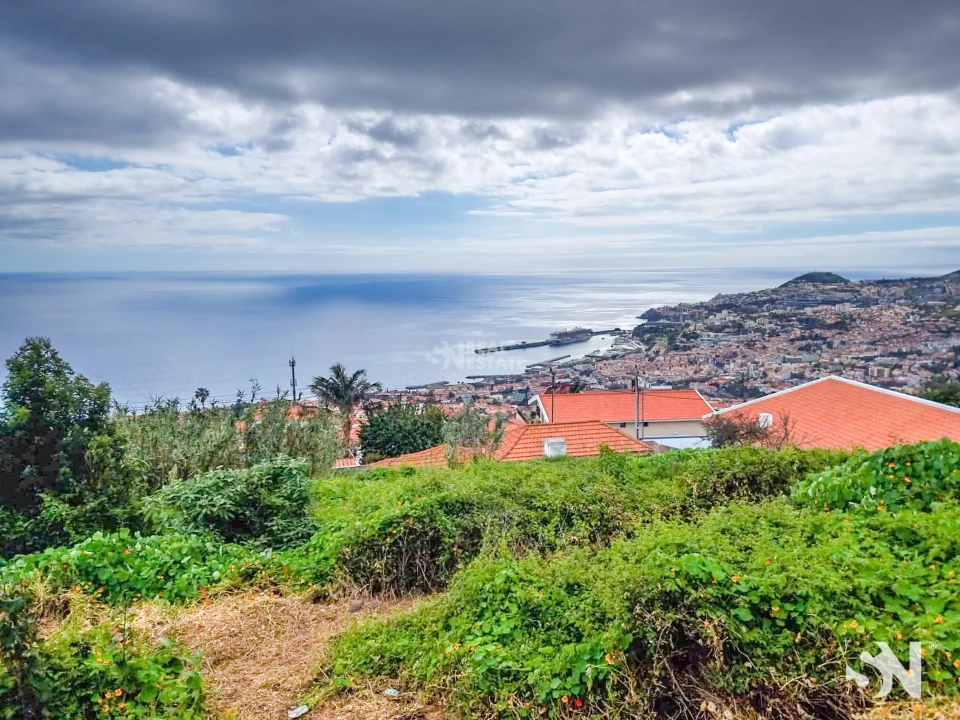 Terreno para Venda em Funchal (Santa Maria Maior) Foto 8