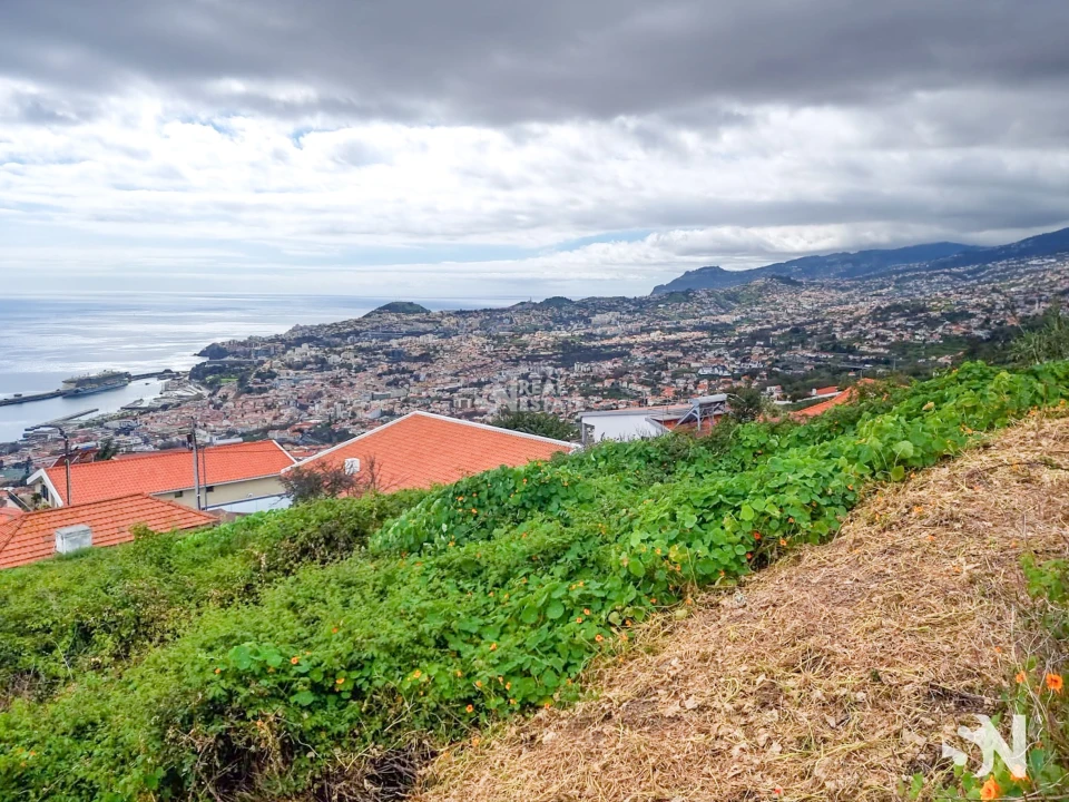 Terreno para Venda em Funchal (Santa Maria Maior) Foto 11