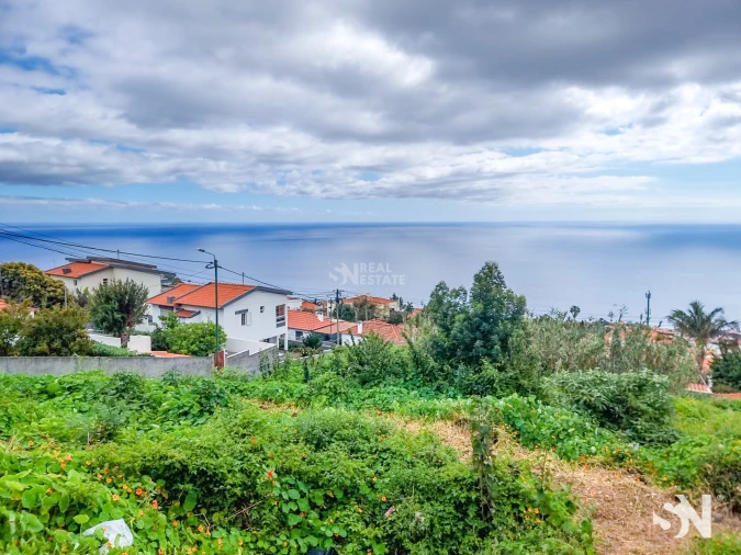 Terreno para Venda em Funchal (Santa Maria Maior) Foto 9