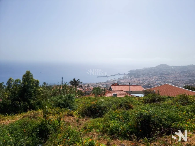 Terreno para Venda em Funchal (Santa Maria Maior) Foto 17