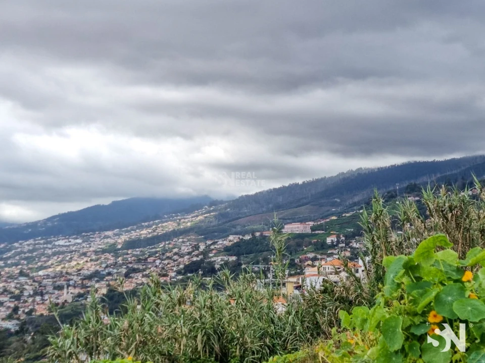 Terreno para Venda em Funchal (Santa Maria Maior) Foto 2
