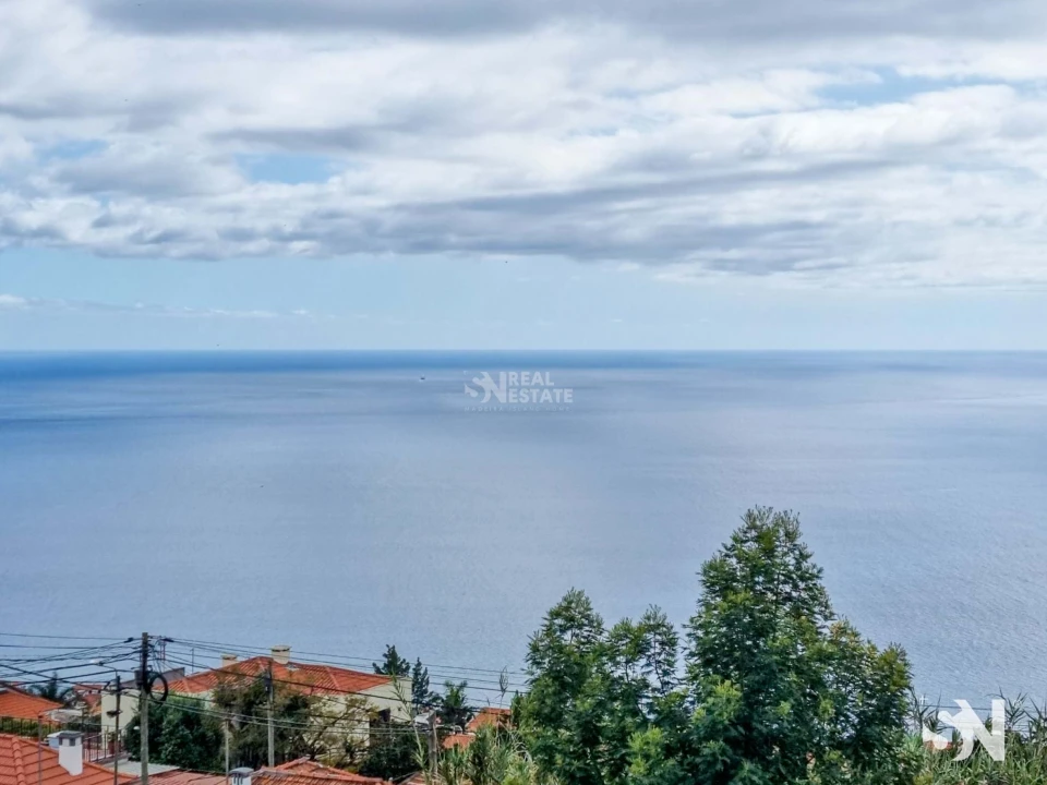 Terreno para Venda em Funchal (Santa Maria Maior) Foto 10