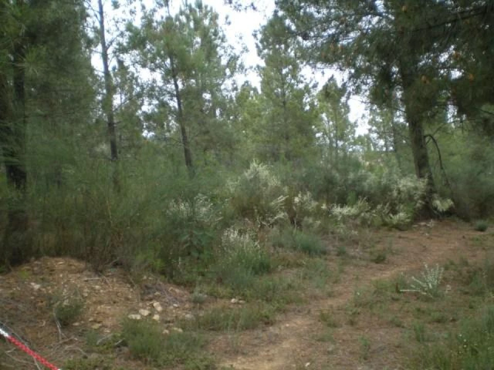 Quinta T0 para Venda em Dominguizo Foto 1