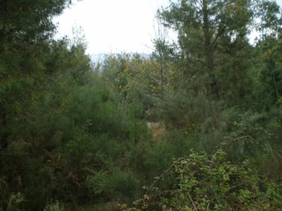 Quinta T0 para Venda em Dominguizo Foto 6