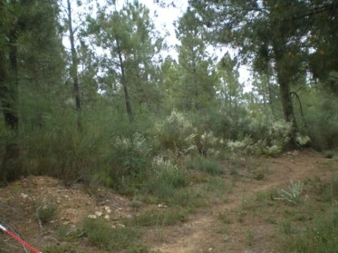 Quinta T0 para Venda em Dominguizo Foto 1