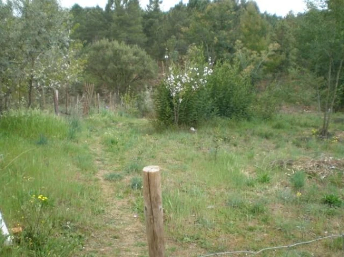 Quinta T0 para Venda em Dominguizo Foto 5