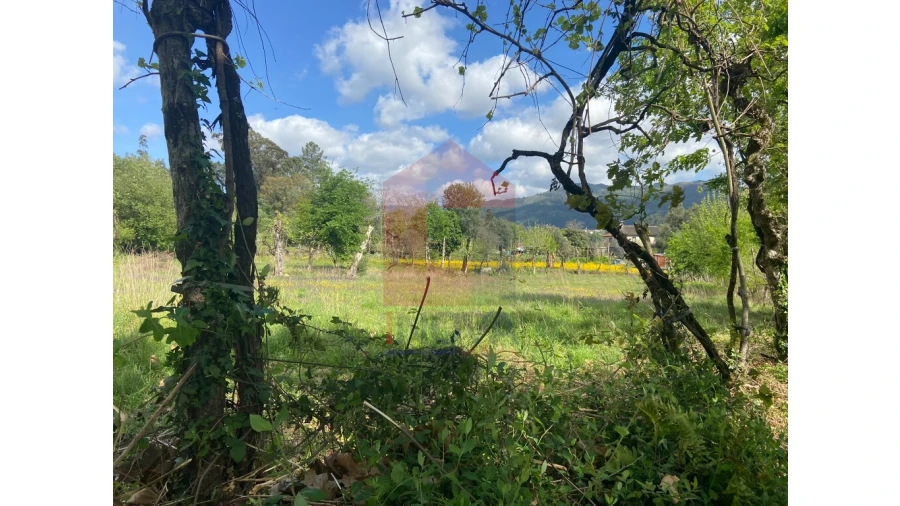 Terreno para Venda em Marrancos e Arcozelo Foto 6