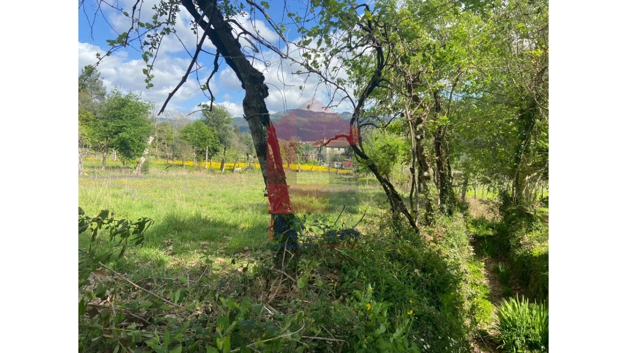 Terreno para Venda em Marrancos e Arcozelo Foto 5