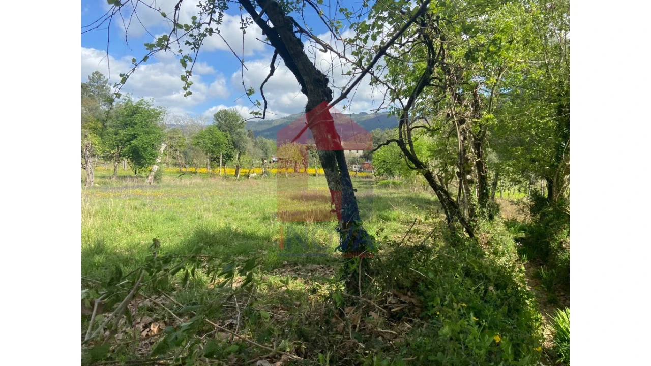 Terreno para Venda em Marrancos e Arcozelo Foto 3