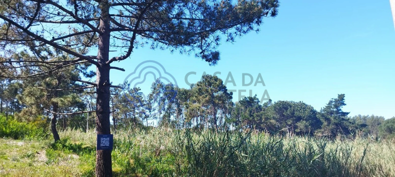 Terreno para Venda em Vau Foto 5