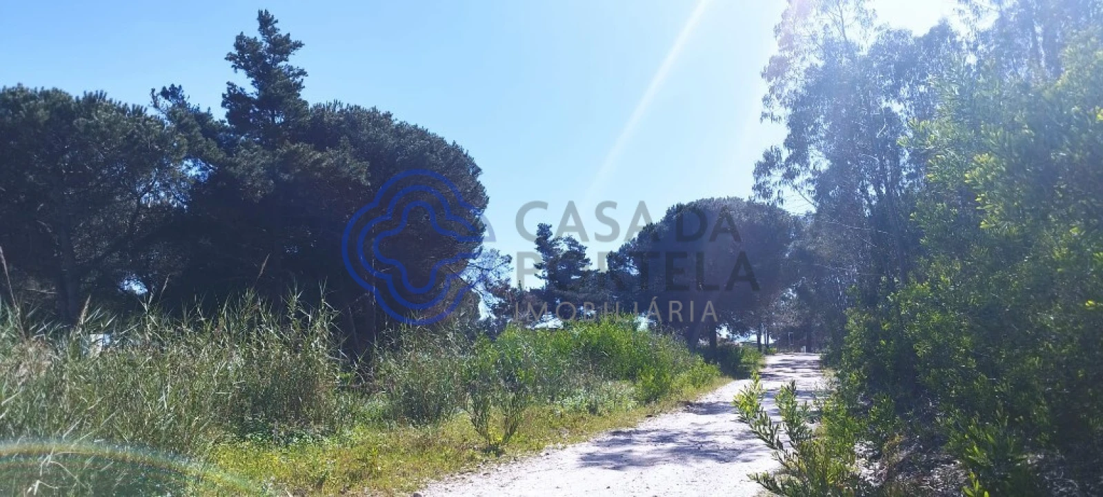 Terreno para Venda em Vau Foto 12