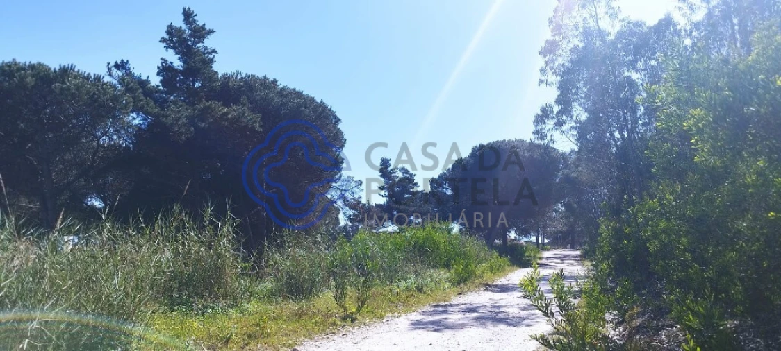 Terreno para Venda em Vau Foto 12