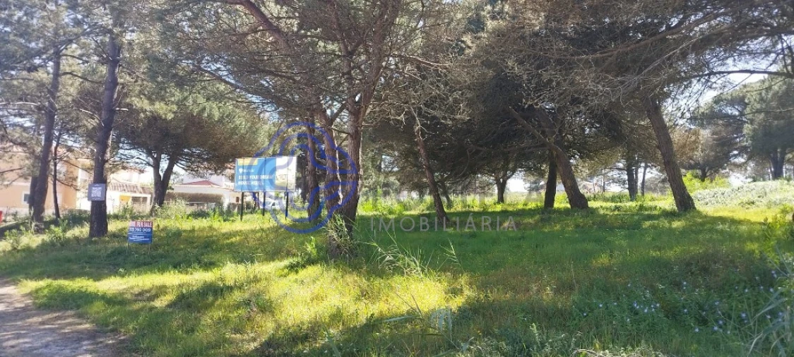 Terreno para Venda em Vau Foto 11