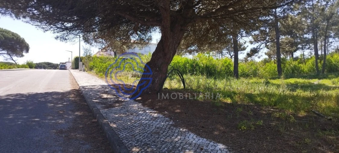 Terreno para Venda em Vau Foto 7