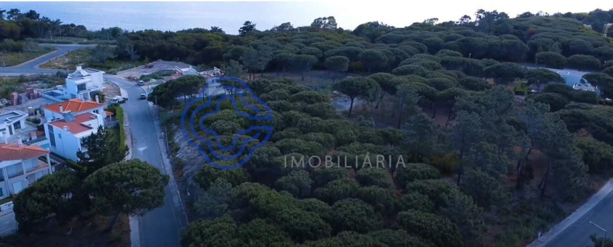 Terreno para Venda em Vau Foto 2