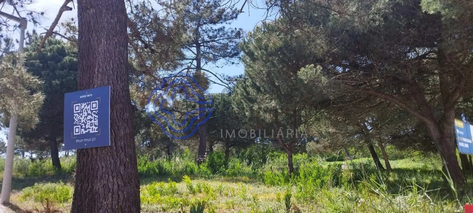 Terreno para Venda em Vau Foto 10