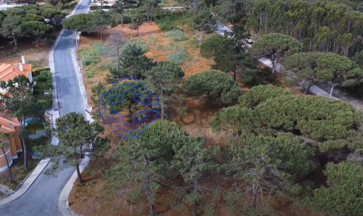 Terreno para Venda em Vau Foto 1