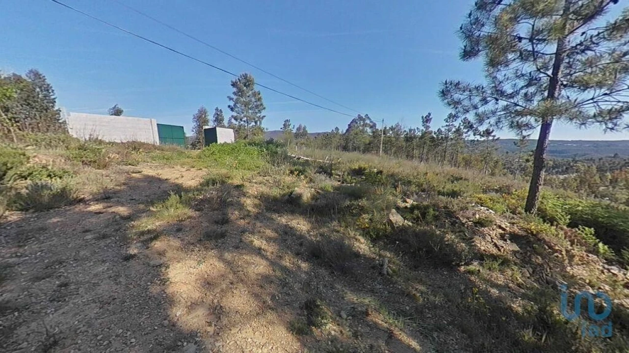 Terreno para Venda em Troviscal Foto 13