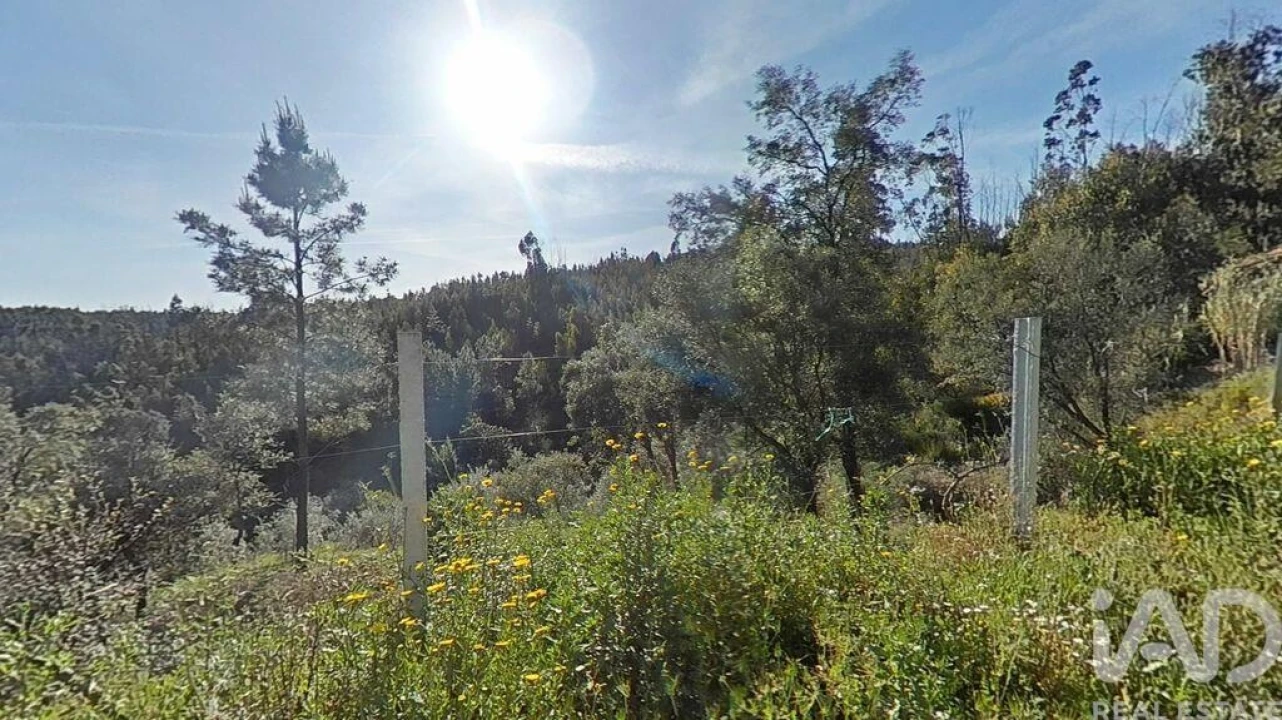 Terreno para Venda em Troviscal Foto 18