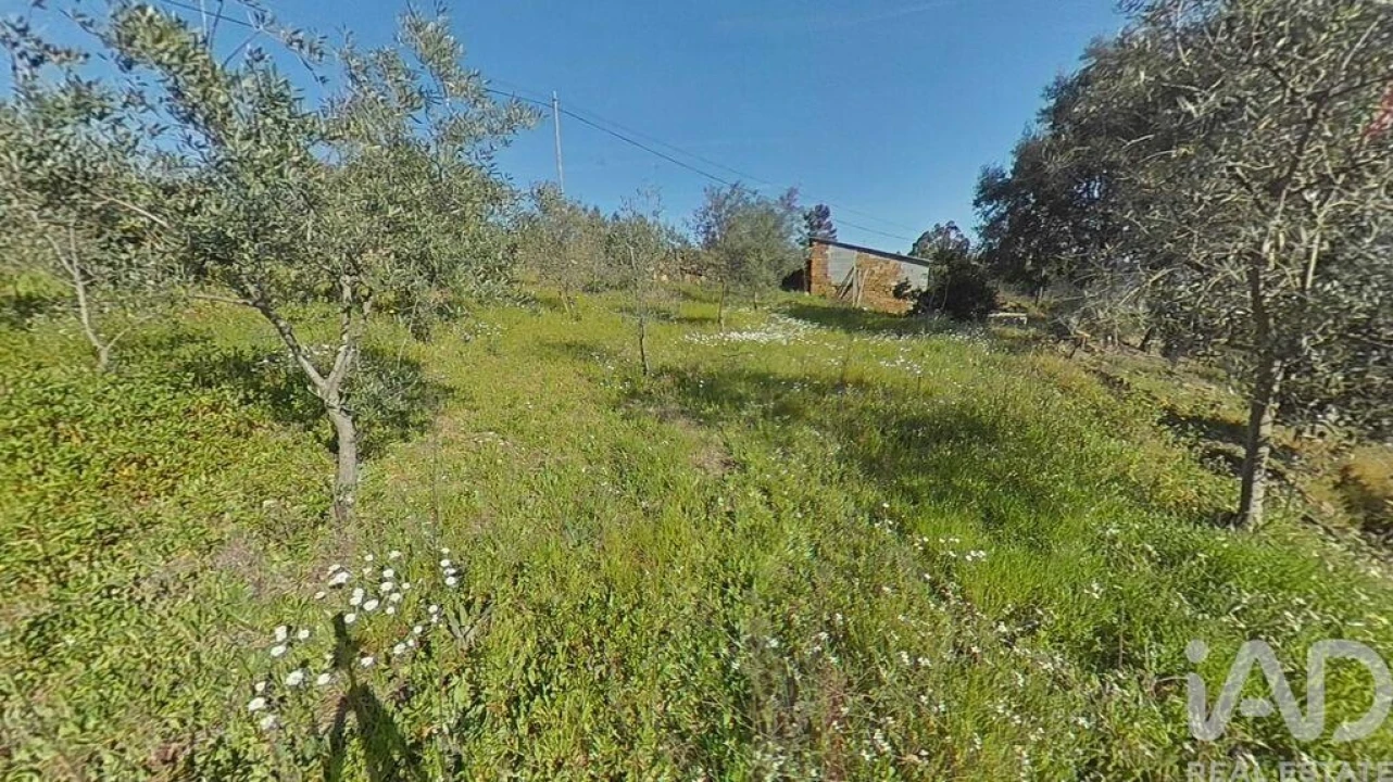 Terreno para Venda em Troviscal Foto 20