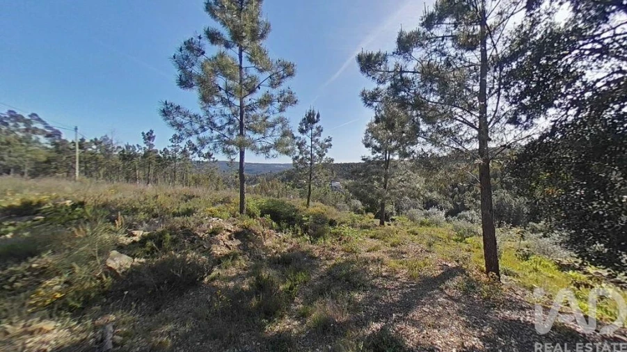 Terreno para Venda em Troviscal Foto 21