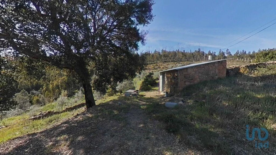 Terreno para Venda em Troviscal