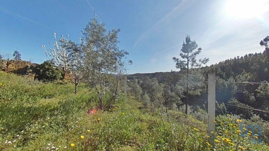 Terreno para Venda em Troviscal Foto 7
